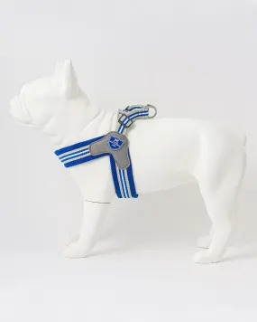 Easy Walk V Dog Harness - Royal Blue