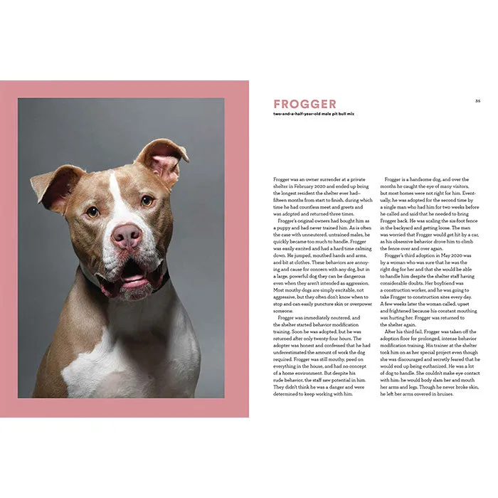 Forever Home: The Inspiring Tales of Rescue Dogs