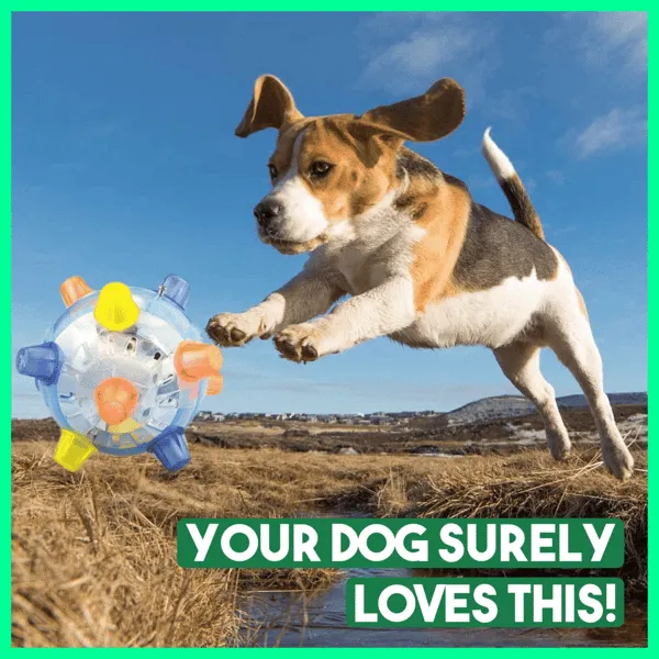 Libiyi™ Pet Ball  Endless Entertainment for Your Furry Friend!