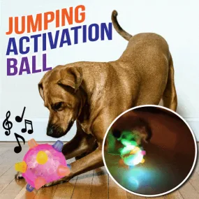 Libiyi™ Pet Ball  Endless Entertainment for Your Furry Friend!